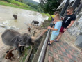 /album/fotogaleria-sri-lanka-maldivy-zajezd-vy-a-my/sri-lanka-maldivy-zajazd-36-jpg1/